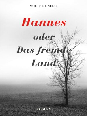 cover image of Hannes oder Das fremde Land